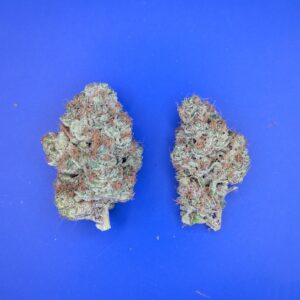 Papaya Melonz