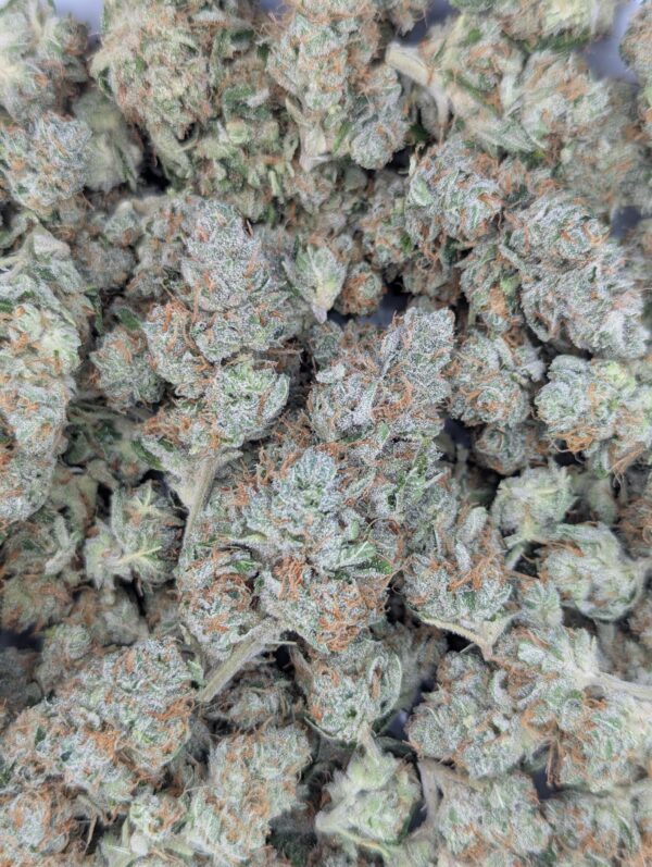 Hawaiian Haze