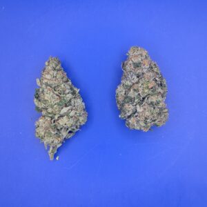Black Maple